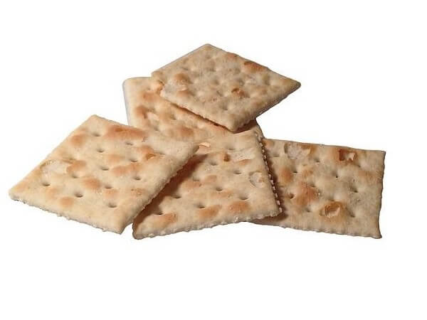 Are Saltine Crackers okay for cats