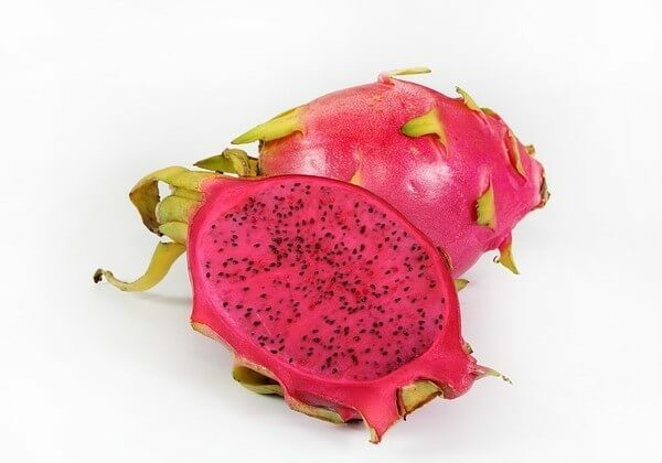 Cat eating Dragon Fruit