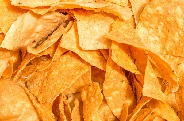 Can cats eat Corn Tortilla Chips