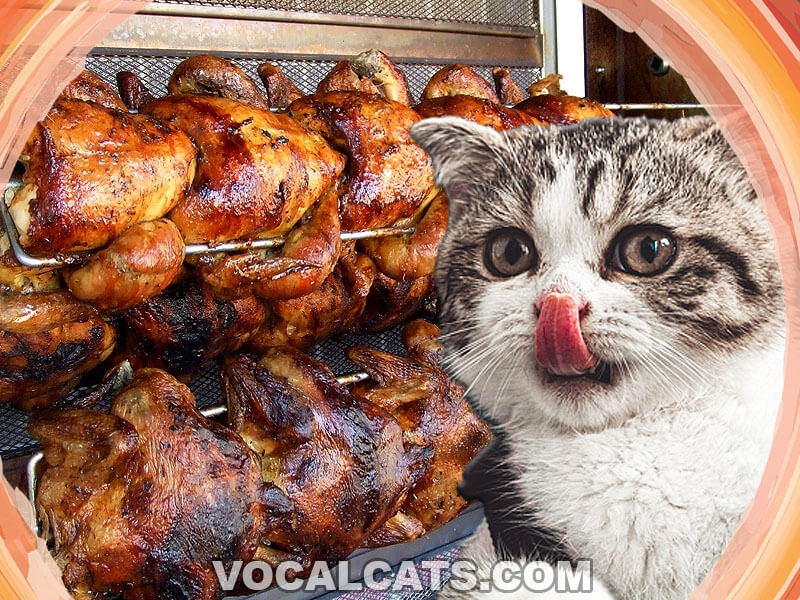 Can Cats Eat Rotisserie Chicken