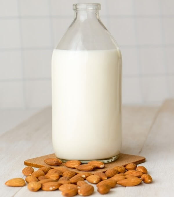 Almond Milk good for Cats