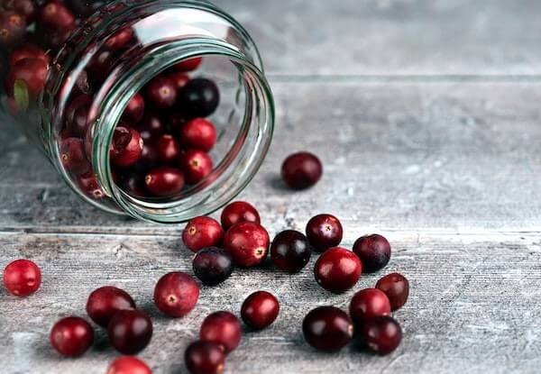 Are cranberries safe for cats sale