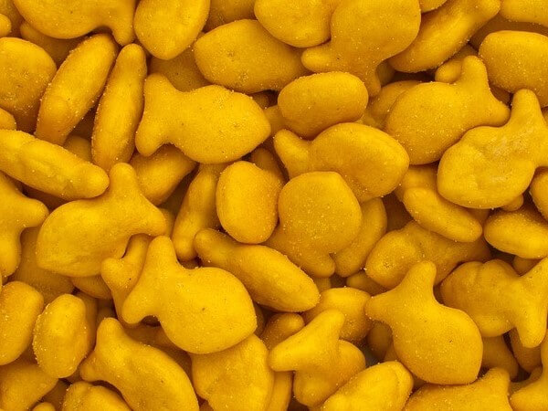 Cats eat Goldfish Crackers