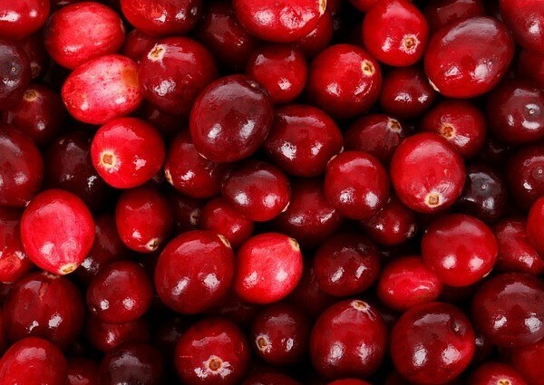 Cranberry for cats