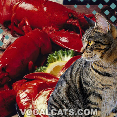Can Cats Eat Lobster? Read This Before Offering a Bite