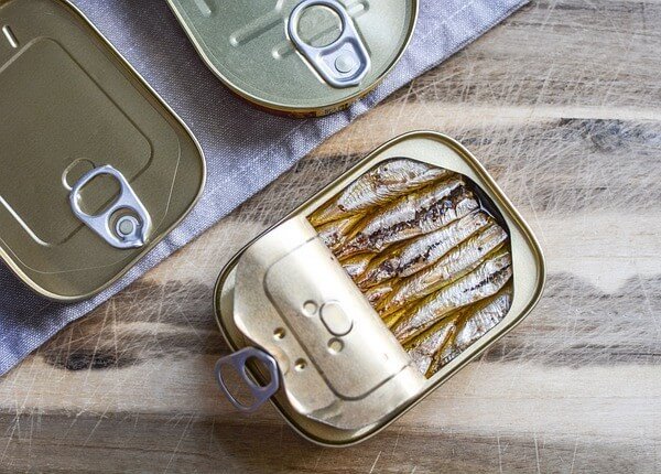 Can you feed Cats canned Sardines