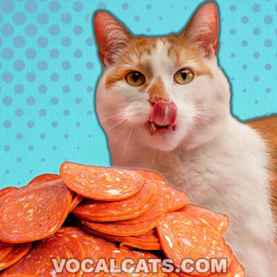 Can Cats Eat Pepperoni? The Salty Truth Exposed!