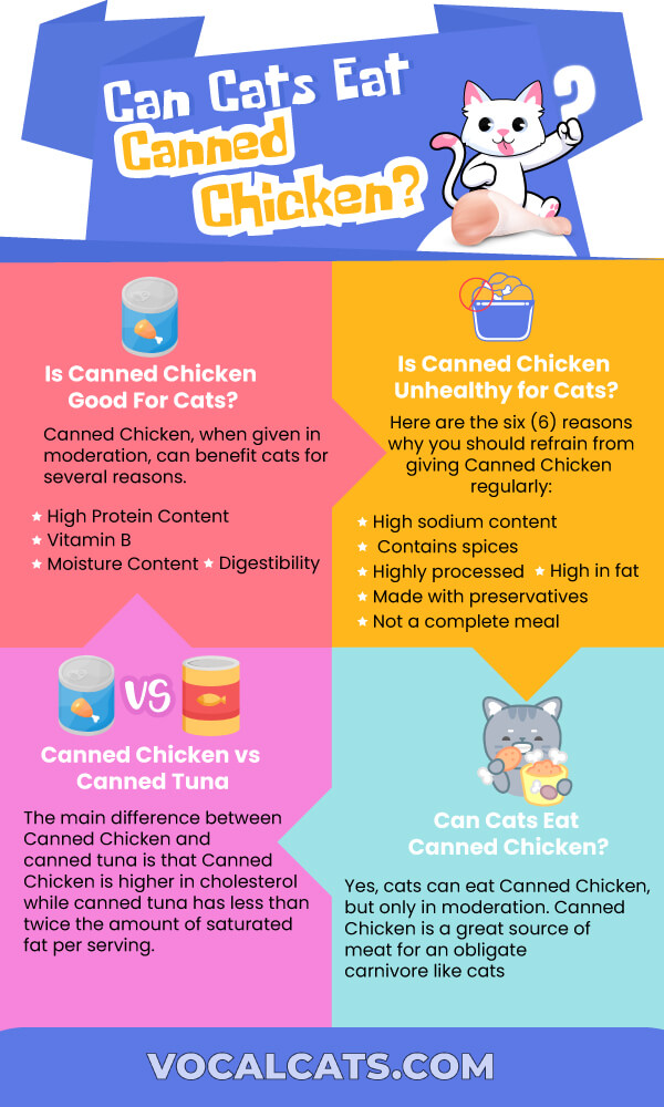 Is Canned Chicken ok for Cats