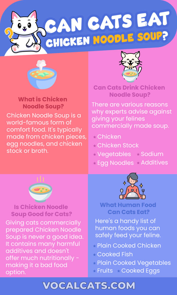 How to feed cats in cats and soup