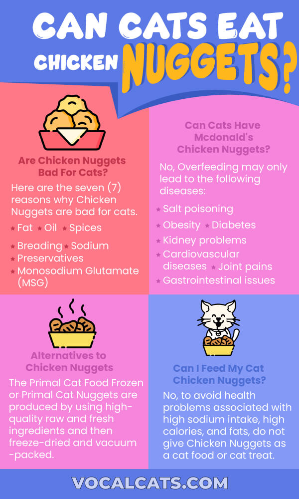 Chicken Nugget Cat